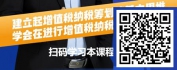 【线上视频课】增值税纳税筹划-从增值税的规则和原理角度进行筹划